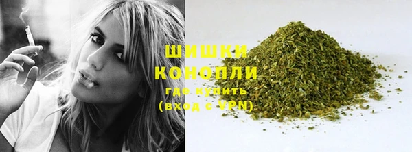 молекула духа Богородицк