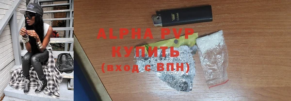 молекула духа Богородицк