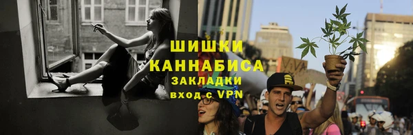 молекула духа Богородицк