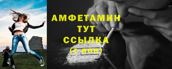 молекула духа Богородицк
