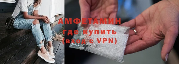 молекула духа Богородицк
