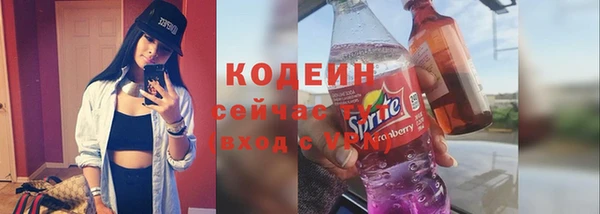 молекула духа Богородицк
