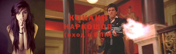 молекула духа Богородицк