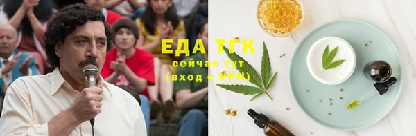 spice Бородино