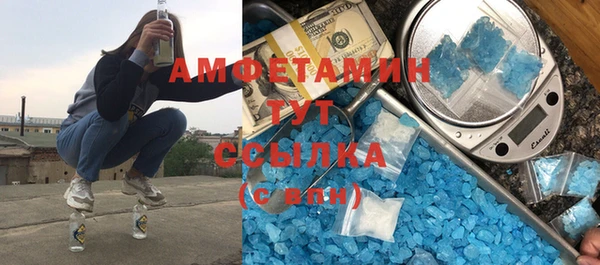 молекула духа Богородицк