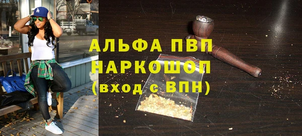 молекула духа Богородицк