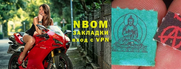 молекула духа Богородицк